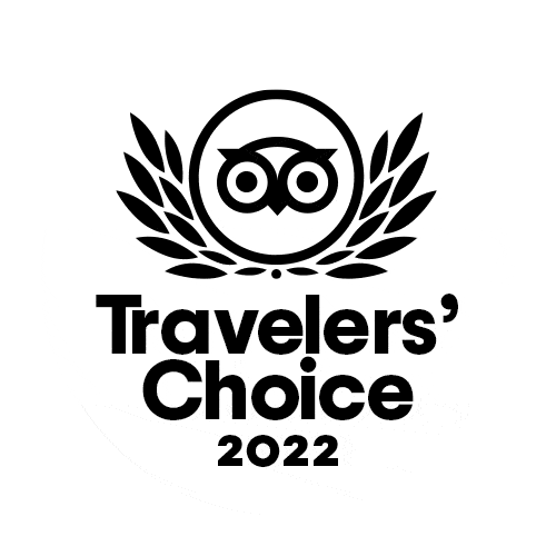 Todd's Amazing Tour's Travelers Choice Award