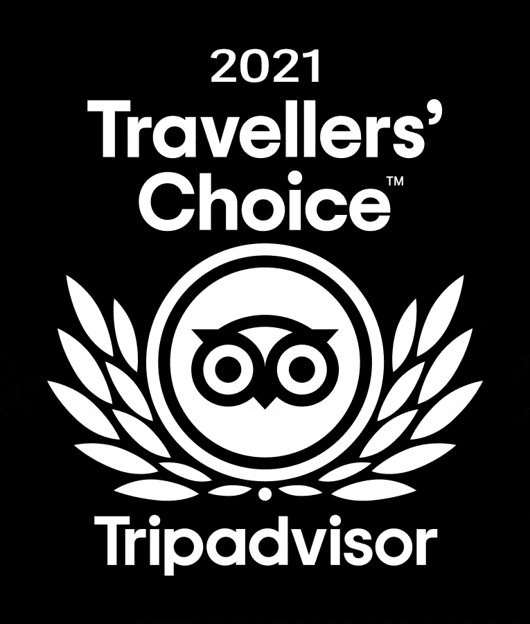 Todd's Amazing Tour's Travelers Choice Award
